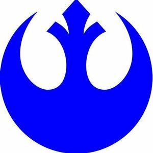 Team Page: Rebels